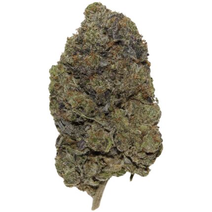 Black Fin Tuna Strain – High-THC indica hybrid with spicy aroma and strong sedating effects for pain and stress relief.