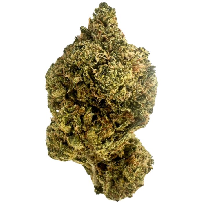 MK Ultra strain – Indica-dominant hybrid with hypnotic effects, dense resin-coated buds, and a unique aroma of skunk, earth, and lemon.