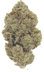 Blue Zkittlez AAAA+