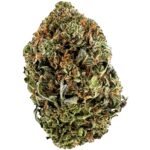 Close-up of Pine Tar Kush strain buds featuring neon green colours, orange hairs, and frosty golden trichomes.