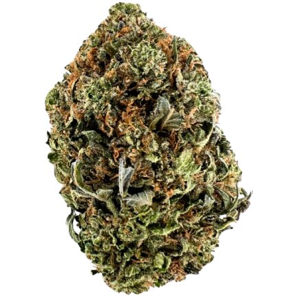 Close-up of Pine Tar Kush strain buds featuring neon green colours, orange hairs, and frosty golden trichomes.