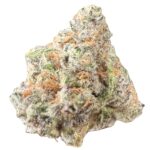 Close-up image of King Tut strain cannabis buds, showcasing the vibrant green and orange colours with a frosty, crystal-covered texture.