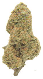 Thin Mint Girl Scout Cookies AAAA+