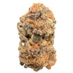 Purple OG Kush cannabis bud