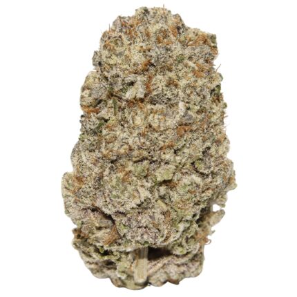 Animal Mints cannabis strain frosty green buds with cookie mint aroma high THC balanced hybrid flower
