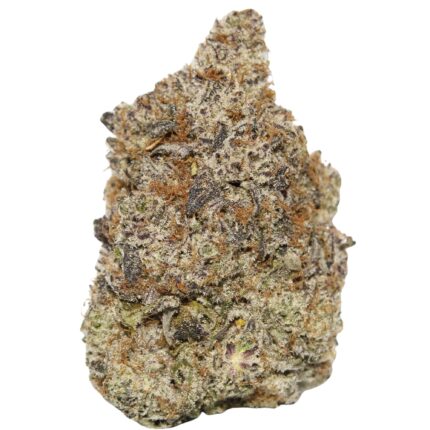 Blackberry Kush cannabis flower dense purple buds with sweet berry aroma Afghani genetics and relaxing indica effects