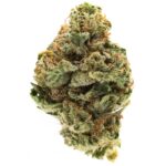 Pink Kush strain, indica-dominant hybrid with dense, colourful buds and high THC content.