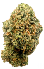 Galactic Cake Strain