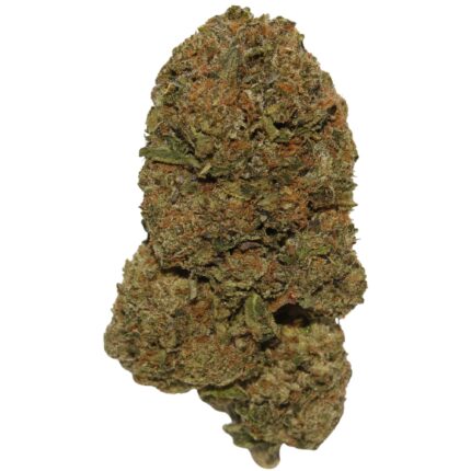 Death Bubba indica-dominant cannabis strain with dense resinous buds