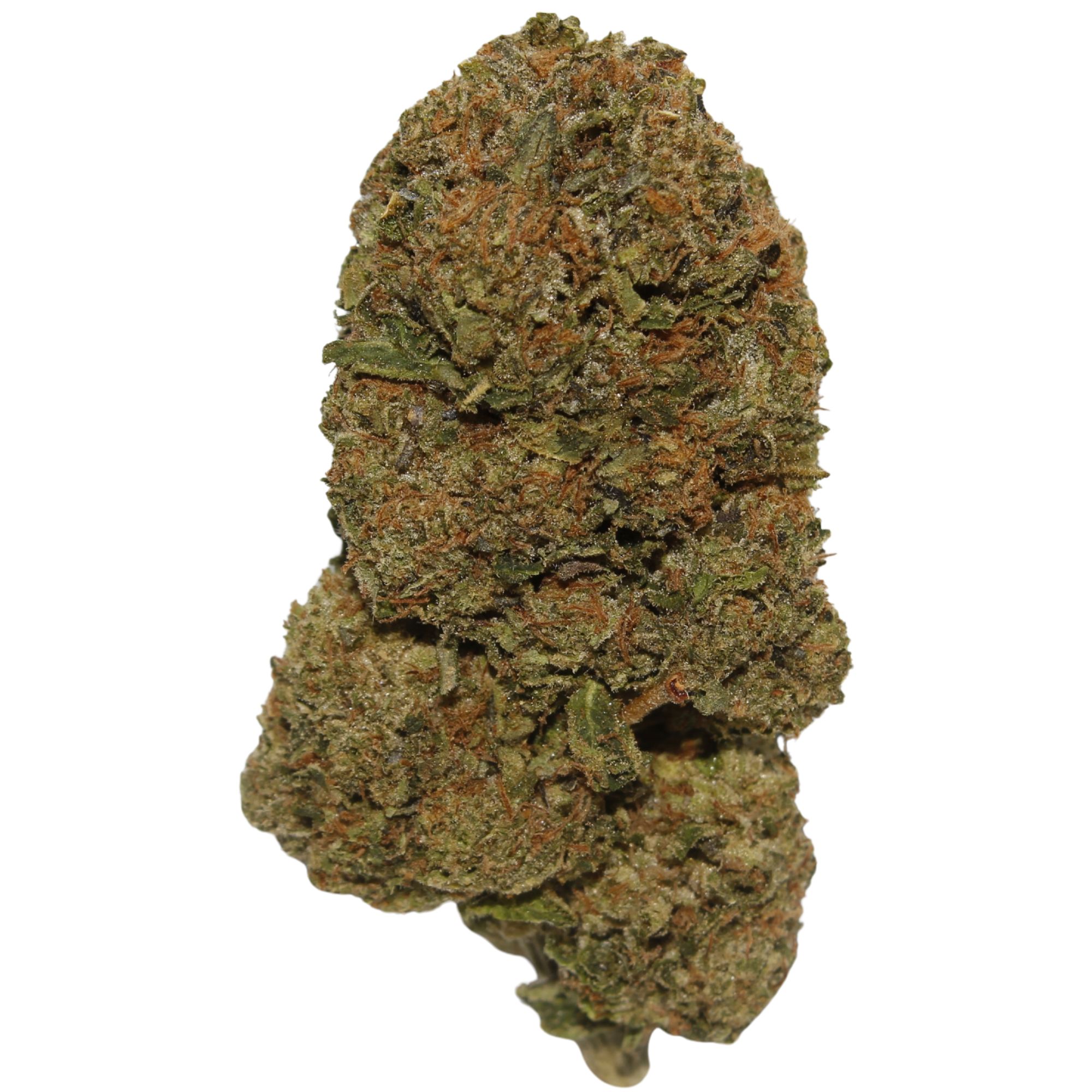 Death Bubba indica-dominant cannabis strain with dense resinous buds