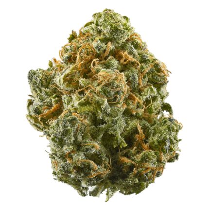 Master Bubba AAAA+