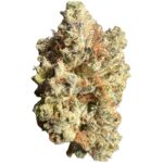 Pink Tomford cannabis strain, premium hybrid with pink and purple hues from Canada