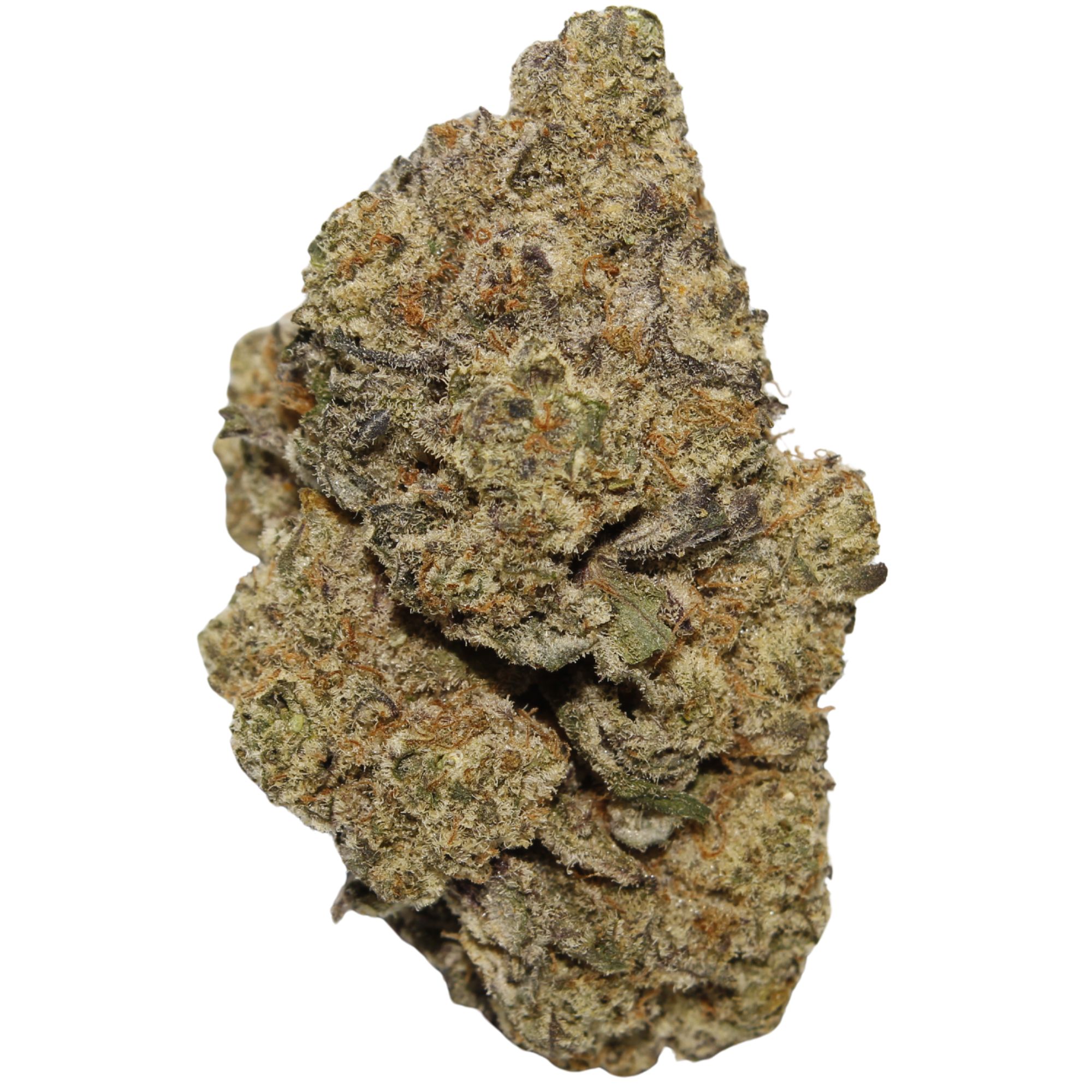 Purple Kush indica strain buds with purple hues and dense trichomes, known for relaxing and sleep-inducing effects