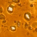 A close-up of Godfather OG shatter with a rich, orange glossy texture, reflecting its high-quality concentrate.