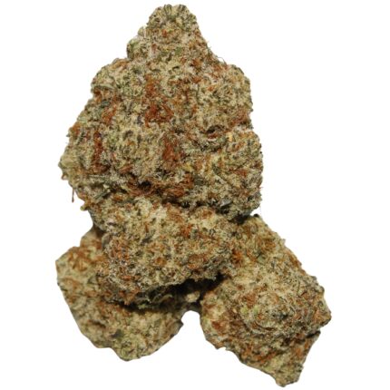 White Widow strain hybrid cannabis bud covered in white crystals, showcasing its frosty appearance and potent effects.