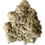 Close-up image of dense, frosty BC God Bud strain, showcasing vibrant green buds with orange hairs and purple hues.