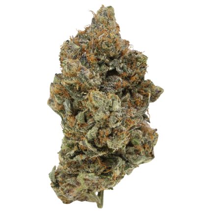 Black Fin Tuna Strain – High-THC indica hybrid with spicy aroma and strong sedating effects for pain and stress relief.