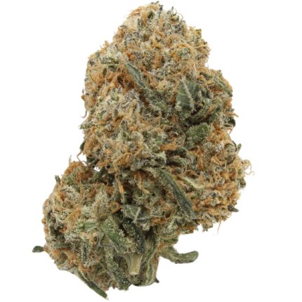Platinum Blackberry Strain – Dense dark olive-green buds with amber hairs, frosty white trichomes, and a sweet berry-diesel aroma.