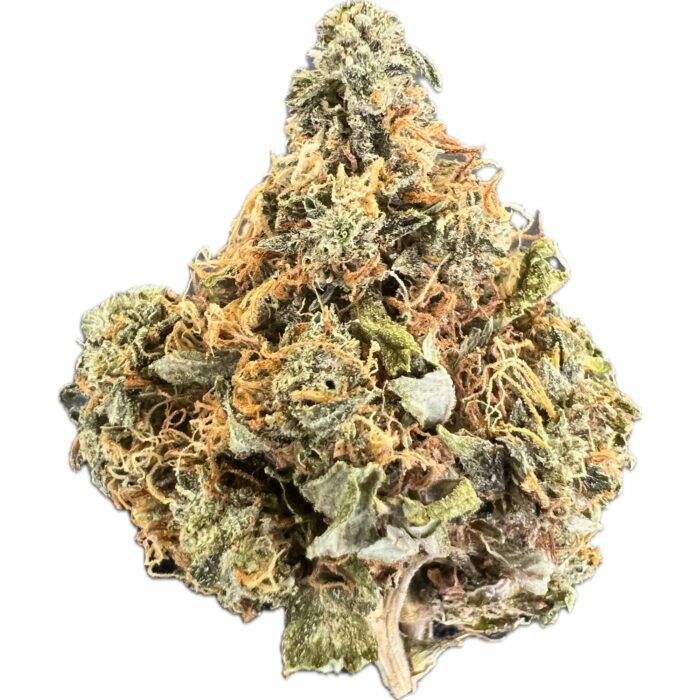 Close-up of Juicy Fruit cannabis strain showcasing vibrant green buds with orange hairs and a frosty layer of trichomes.