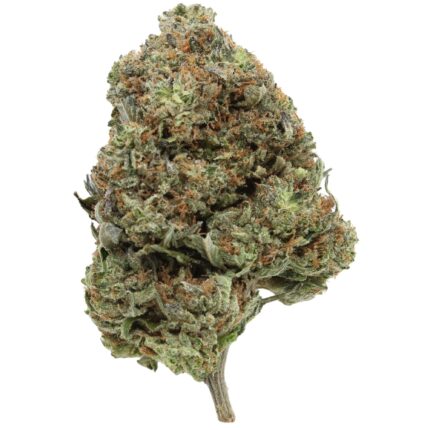 Close-up of Pine Tar Kush strain buds featuring neon green colours, orange hairs, and frosty golden trichomes.