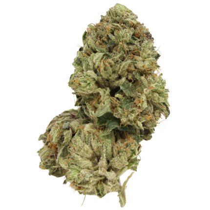 Pink Bubba Strain – Pure indica cannabis flower with frosty pink-tinted buds and strong body-relaxing effects.