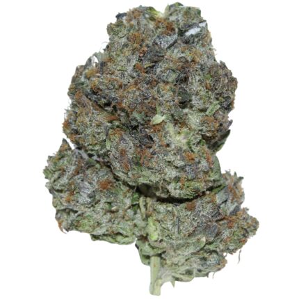 Close-up of Pink Death cannabis strain showcasing dense, frosty buds with shades of green, purple, and orange, covered in a thick layer of trichomes.