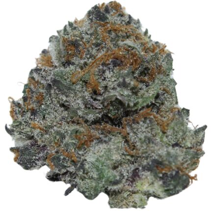Purple Space Cookies strain with frosty purple buds and crystal trichomes