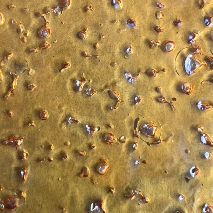Granddaddy Purple Shatter – Premium cannabis concentrate with a golden, glass-like texture, offering potent effects and a rich grape-berry flavor.