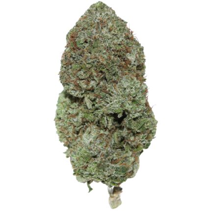MK Ultra strain – Indica-dominant hybrid with hypnotic effects, dense resin-coated buds, and a unique aroma of skunk, earth, and lemon.