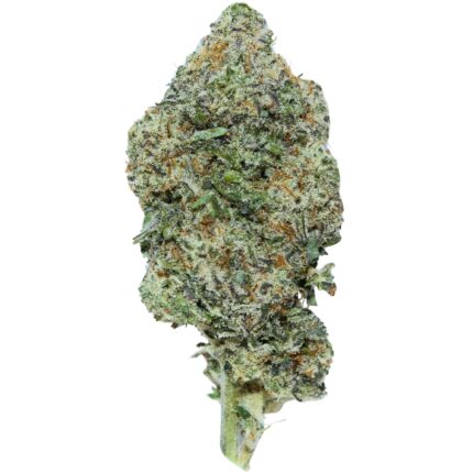 Purple MAC Strain – A balanced hybrid cannabis strain with a fruity berry cookie flavour and pungent diesel aroma.