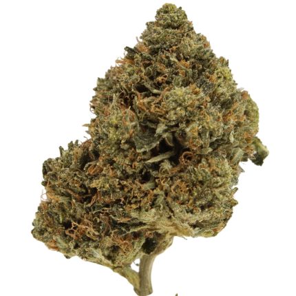 Pink Kush AAAA+