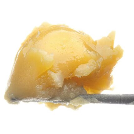 Girl Scout Cookies Live Resin Hybrid