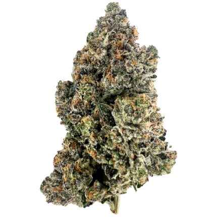 Pink Muerte Strain – Potent indica-dominant cannabis with dense, frosty buds and powerful body-sedating effects.