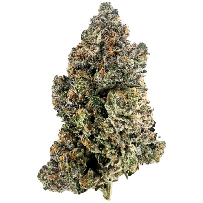 Pink Muerte Strain – Potent indica-dominant cannabis with dense, frosty buds and powerful body-sedating effects.