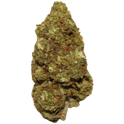 Super Lemon Haze sativa-dominant hybrid cannabis flower covered in resinous trichomes