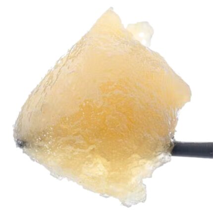 Biscotti Live Resin – Golden concentrate with cookie sweetness and relaxing indica effects.