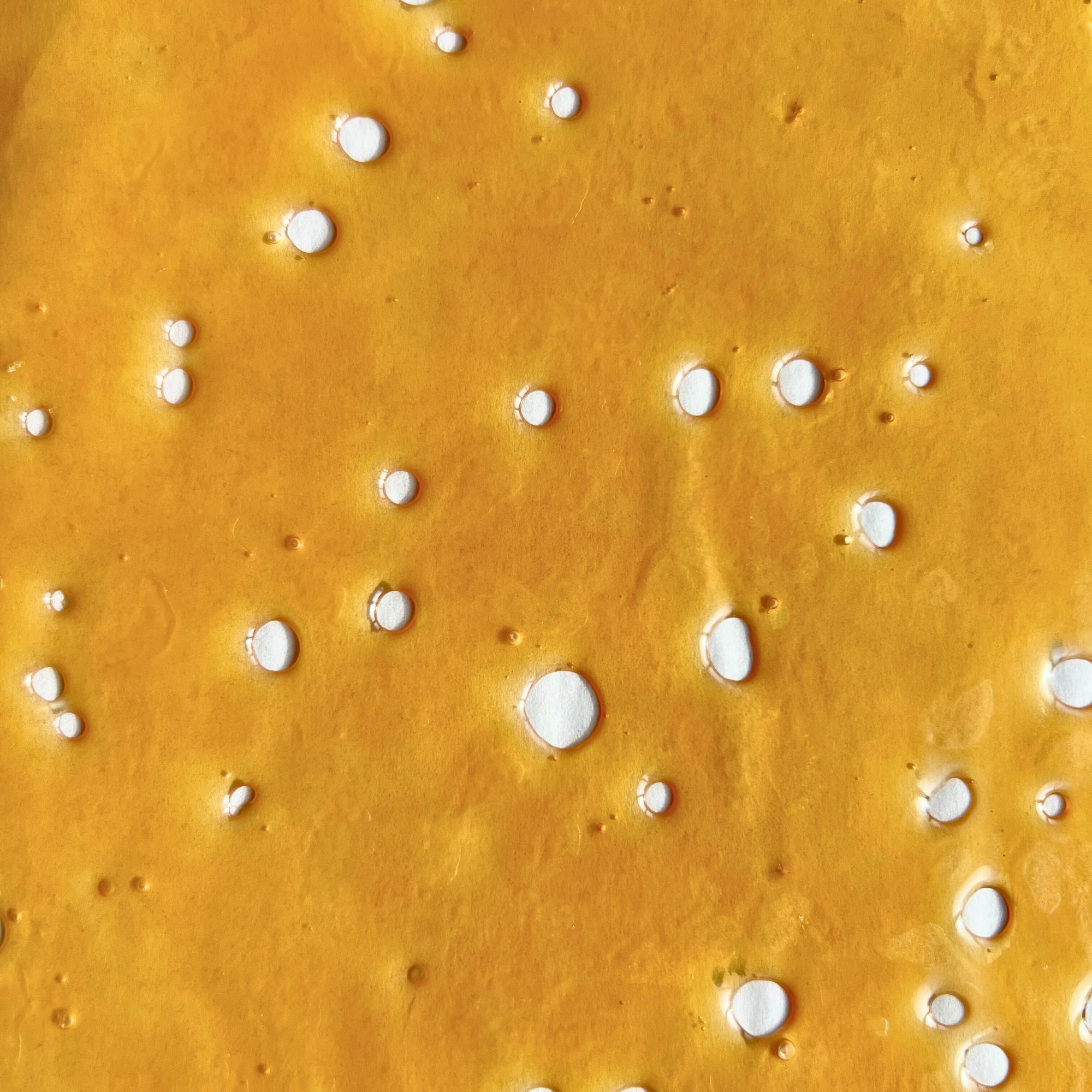 Jack Herer Shatter – Premium cannabis concentrate with golden clarity and pine-citrus aroma.