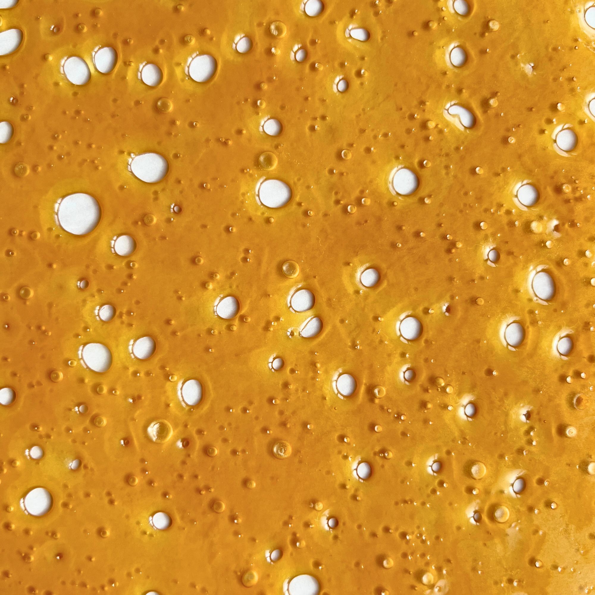 Sundae Driver Shatter – smooth golden cannabis extract with creamy chocolate aroma and relaxing hybrid effects.