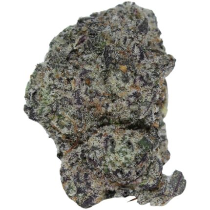 Purple Kush indica strain buds with purple hues and dense trichomes, known for relaxing and sleep-inducing effects