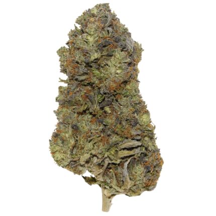 Bubba Kush strain – Dense indica cannabis buds with orange hairs and frosty trichomes, known for relaxing effects and coffee-chocolate flavour.
