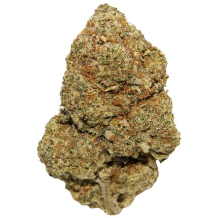 Close-up of Northern Lights strain buds with crystal trichomes