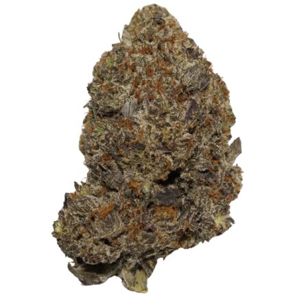 Blackberry Octane indica-dominant cannabis strain with frosty mint green buds and orange hairs